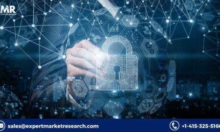 Airport Information Systems Market