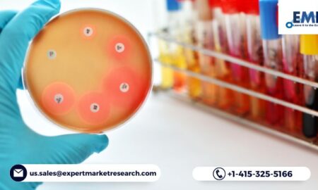 Antimicrobial Additives Market