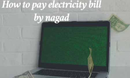 How to pay electricity bill by nagad