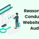 Reasons to conduct a website SEO audit