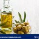 Refined Olive Oil Production Cost