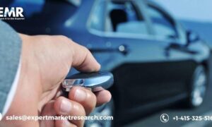 Vehicle Anti-Theft System Market