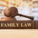 A Family Lawyer: Some Important Aspects That You Should Know
