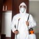 Bed Bugs Vancouver