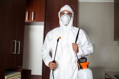 Bed Bugs Vancouver
