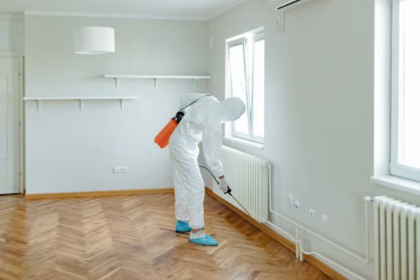 Pest Control Vancouver