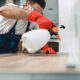 Bed Bugs Vancouver