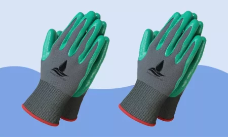 gloves