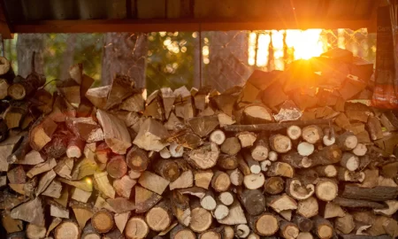 5 Ways To Ensure Firewood Is Properly Seasoned Before Burn