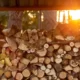 5 Ways To Ensure Firewood Is Properly Seasoned Before Burn
