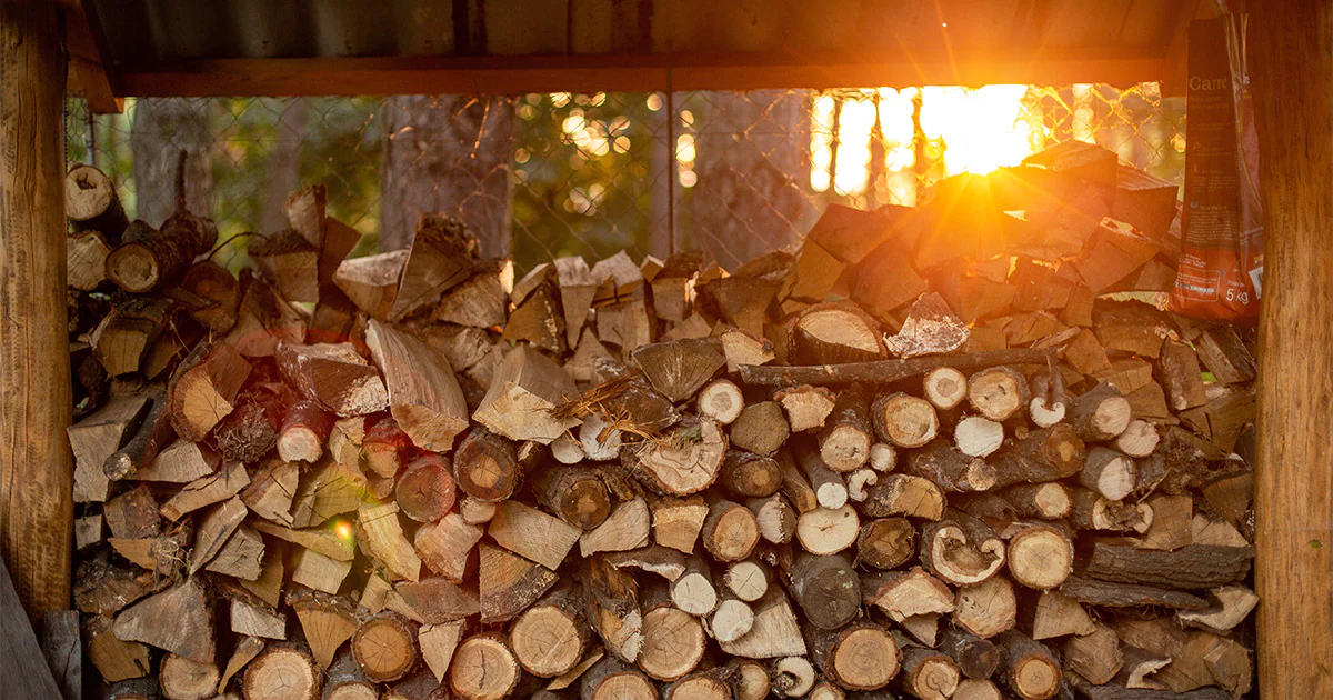 5 Ways To Ensure Firewood Is Properly Seasoned Before Burn