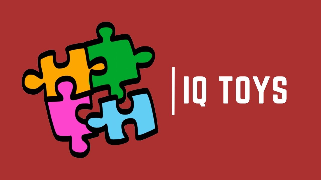 IQ Toys
