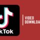 Tiktok and Twitter Video Downloader