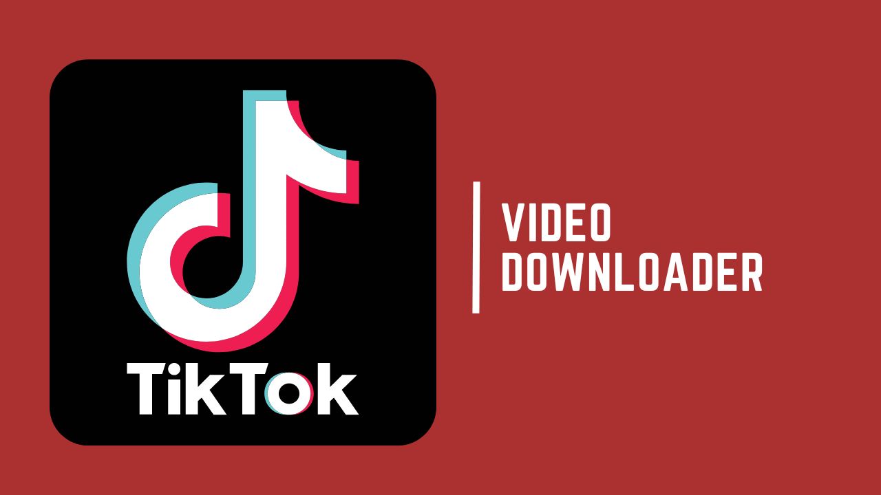 Tiktok and Twitter Video Downloader