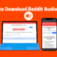 Reddit Downloader with Audio