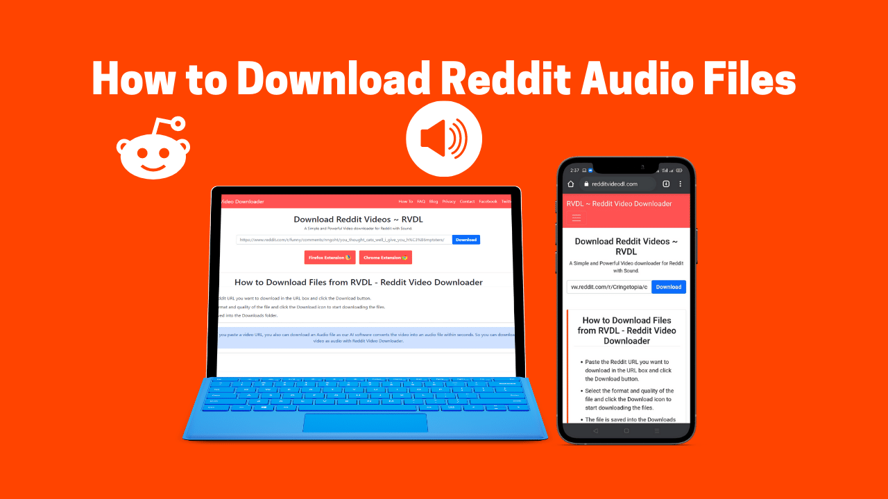 Reddit Downloader with Audio