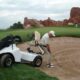 Wheelchair Golf
