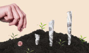 Investing in a Startup