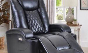 Reclining Lift Chairs