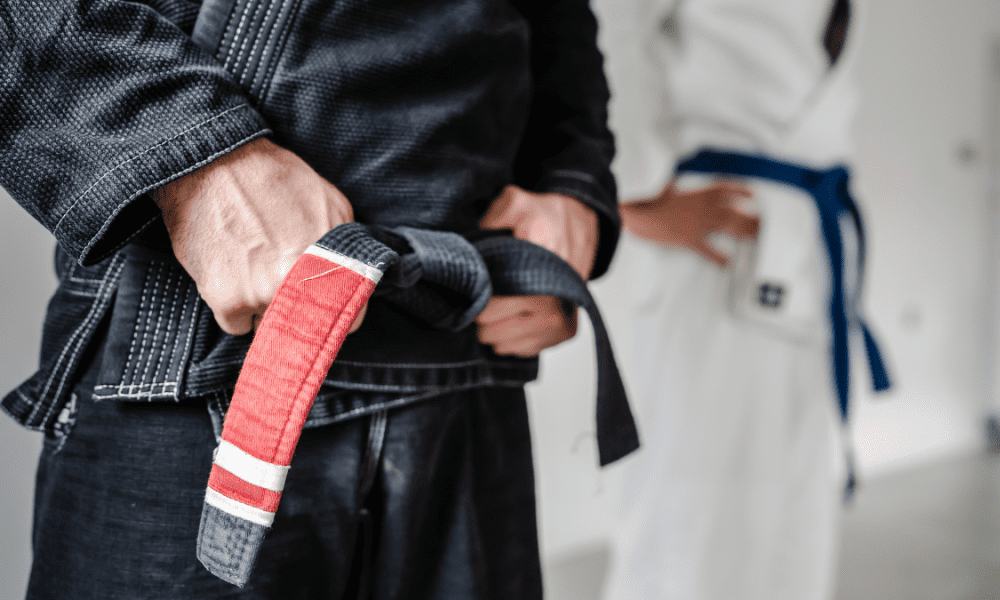 Best Brazilian Jiu Jitsu Schools in Sydney