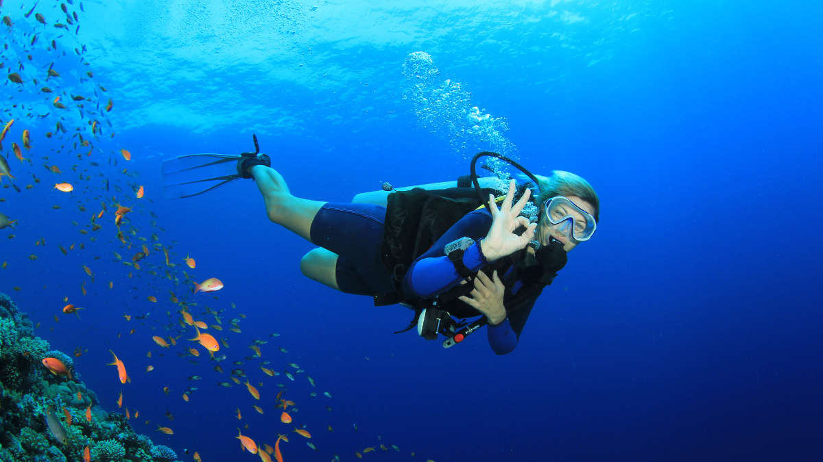 The Ultimate Guide Tips for Travel to Hurghada for Scuba Diving
