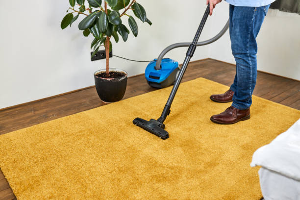 Effortless Olefin Carpet Cleaning Techniques for Lasting Freshness